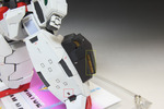 356A8725.jpg