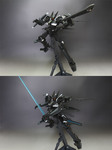 fla3.jpg