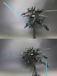 fla4.jpg
