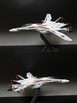 vf10.jpg
