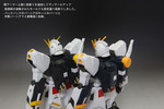 356A0017.jpg